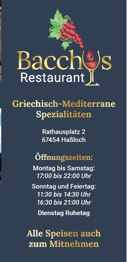 宝兹碧瓦餐厅酒店 Haßloch 外观 照片